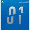 VICTAS V01
