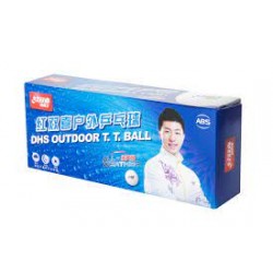 DHS D40+ OUTDOOR 10 BALLS...